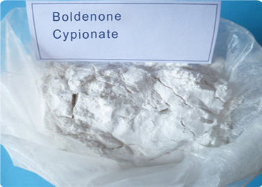 Pó cru Boldenone Cypionate da hormona de esteroides da solução (106505-90-2) Ace corajoso